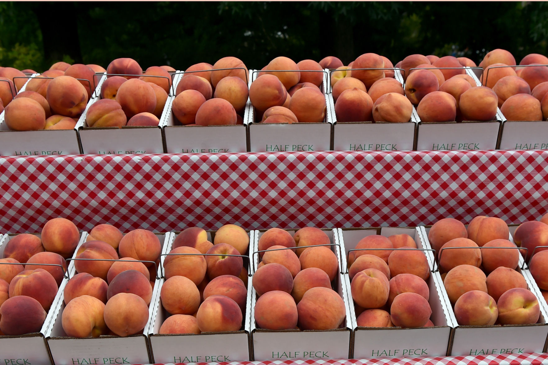 Peach Festival | Cobden